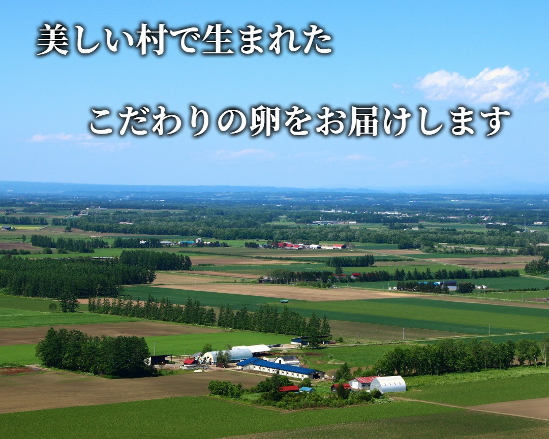 【十勝】新鮮なたまごを皆様の食卓へ! ピータンたまご (白玉L・30個+割れ保証品10個)