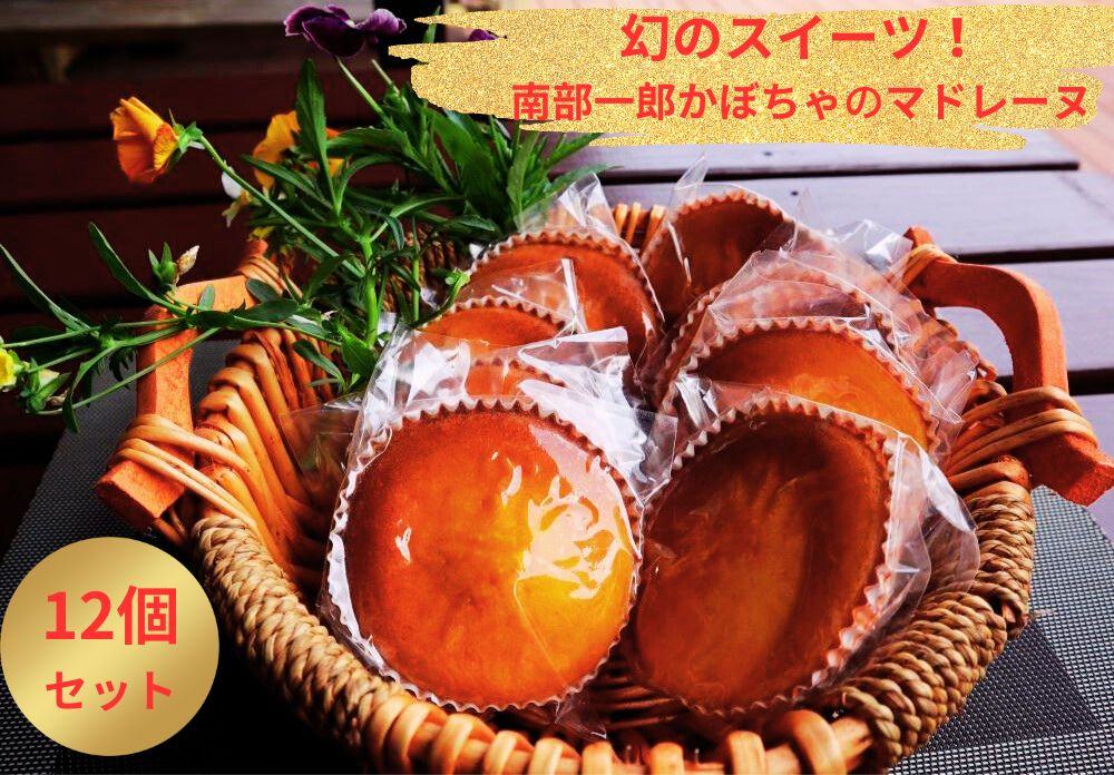 南部一郎かぼちゃのマドレーヌイメージ（本商品は12個セットです）
