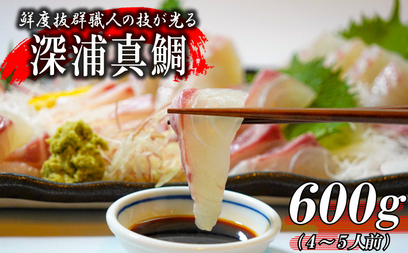 しゃぶしゃぶ 鯛しゃぶ 鯛めし 鯛茶漬け 出汁茶漬け 漬け カルパッチョ タタキ 炙り 塩焼き 煮込み 料理にもぴったり