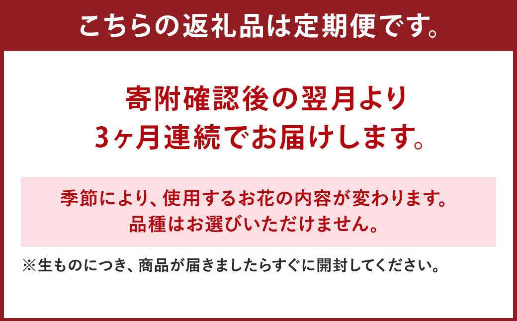 ファーマーズフラワー by the Bouquet KUMAMOTO【定期便年3回】 花 フラワーアレンジメント