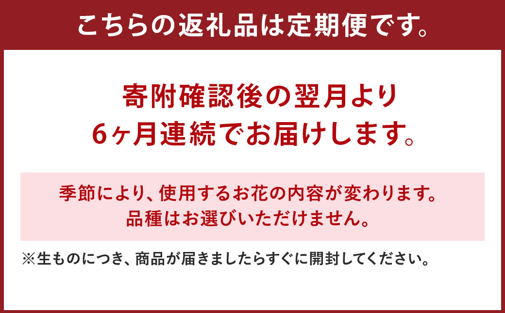 ファーマーズフラワー by the Bouquet KUMAMOTO【定期便年6回】 花 フラワーアレンジメント