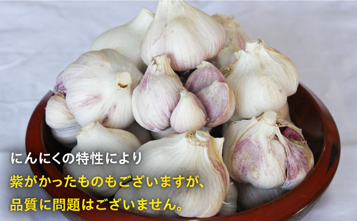 佐賀県白石町よりこだわりにんにくをお届け！