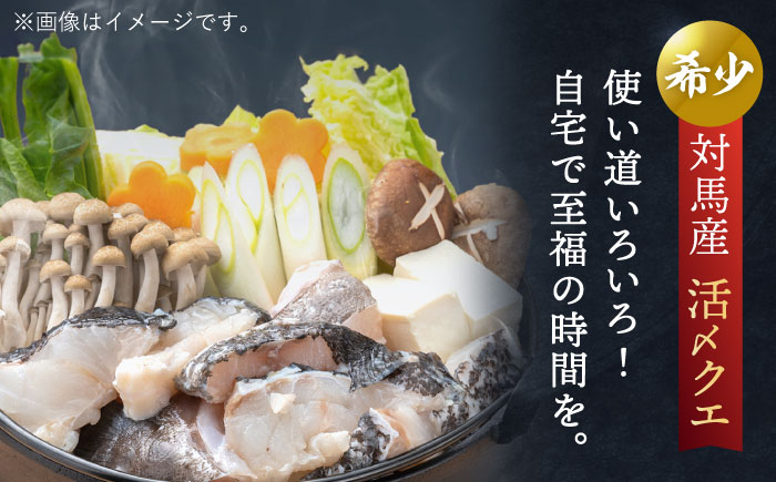 くえ 鍋セット 海の幸 クエ 下処理 冷凍 新鮮 小分け 海産物 対馬市 からあげ てんぷら 煮付け クエ鍋 切身 切り身