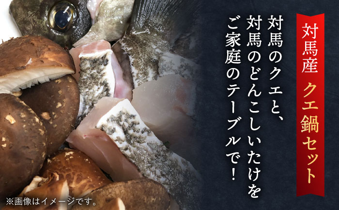くえ 鍋セット 海の幸 クエ 下処理 冷凍 新鮮 小分け 海産物 切身 切り身 白身 九州 長崎 しいたけ クエ鍋 対馬 