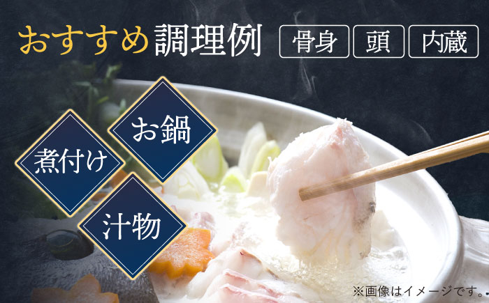 くえ 高級魚 魚 クエ 希少 冷凍 対馬市 海鮮 魚介 切り身 切身 白身 唐揚げ からあげ ムニエル 鍋 クエ鍋