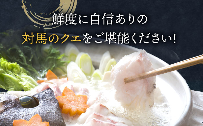 くえ 高級魚 魚 クエ 希少 冷凍 対馬市 海鮮 魚介 切り身 切身 白身 唐揚げ からあげ ムニエル 鍋 クエ鍋