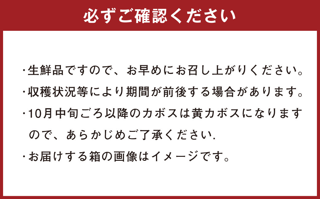 有機 JAS 認証 かぼす 青果 4kg ( 箱入り ) 
