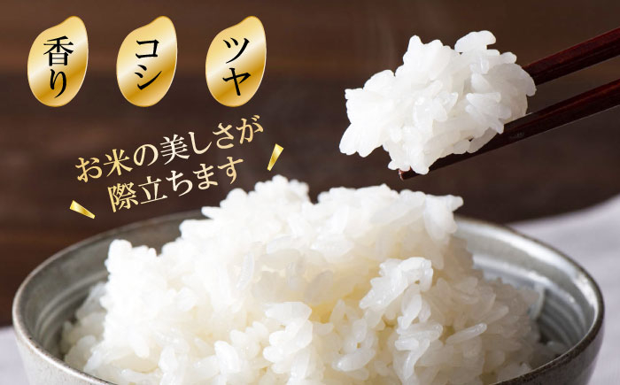 特産品 お米 地元産 こだわり 穀物 精米 白米