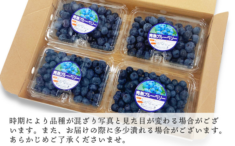 時期によっては品種が混ざり写真と見た目が変わる場合がございます。
また、お届けの際に多少潰れる場合がございます。