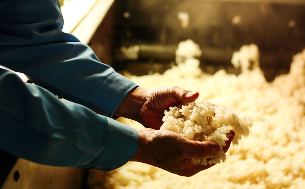 米焼酎「百」500ml×1本 23度 焼酎 米こうじ 森のくまさん