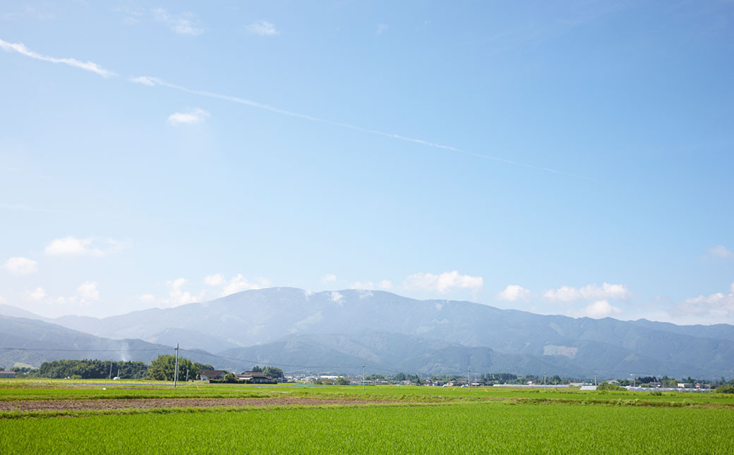 米焼酎「百」500ml×1本 23度 焼酎 米こうじ 森のくまさん