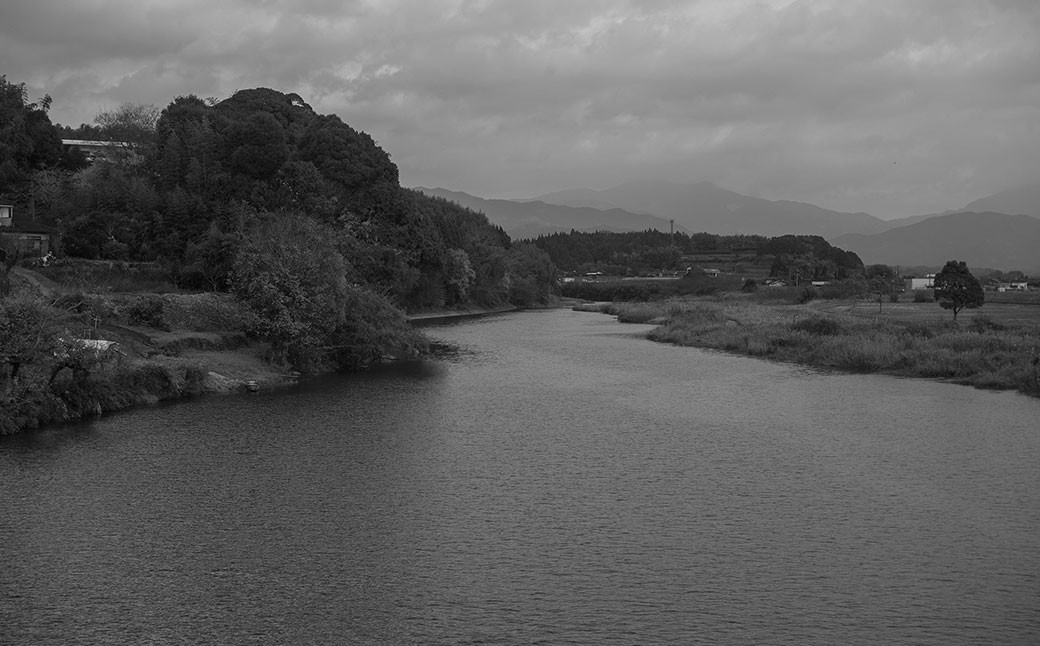 米焼酎「百」500ml×1本 23度 焼酎 米こうじ 森のくまさん