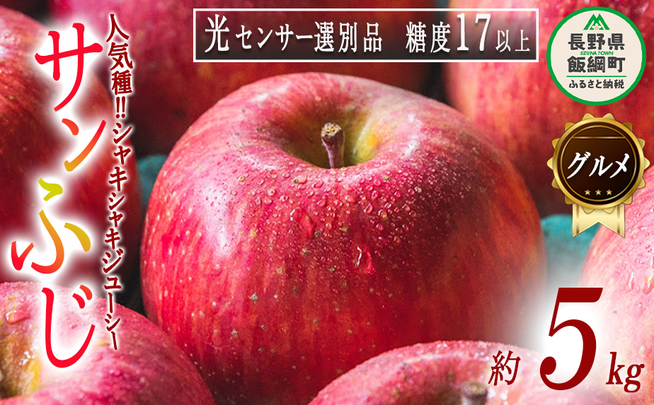 最上級クラス　数量限定「グルメりんご」　サンふじ　５kg　