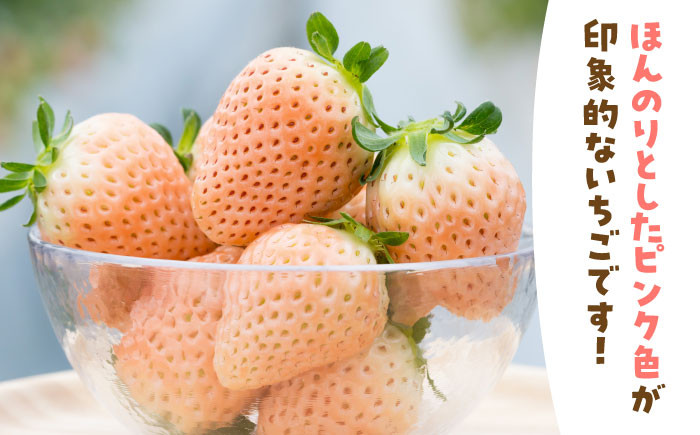 希少な白いちご