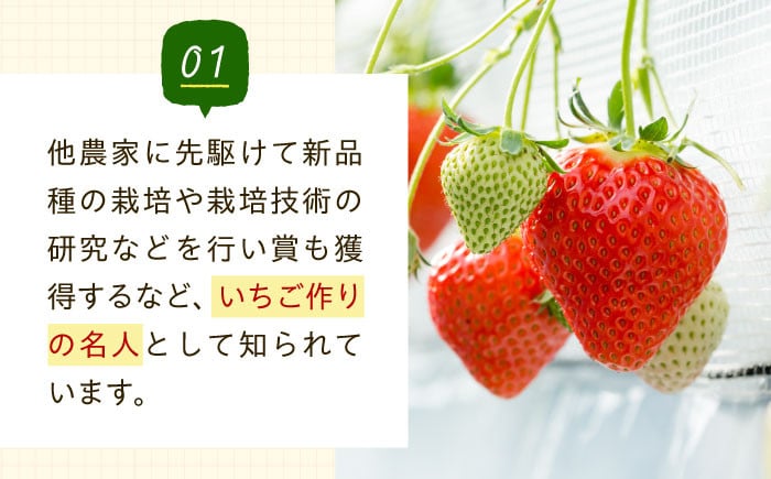 希少な白いちご