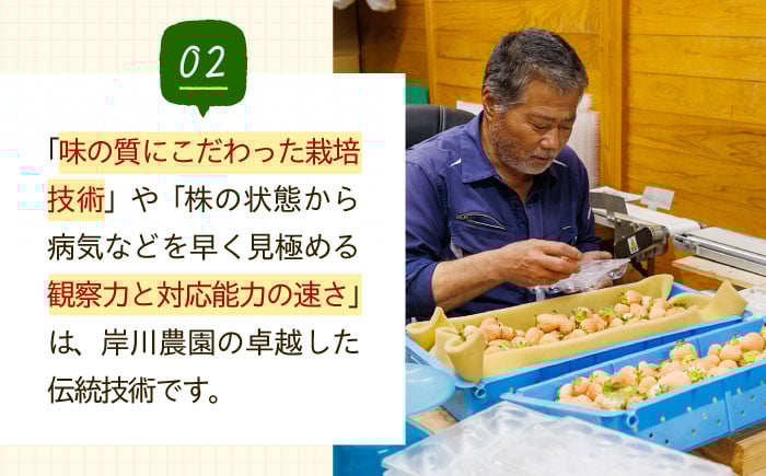 希少な白いちご