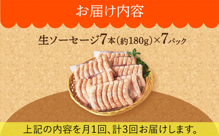 ソーセージ ウインナー 小分け 冷凍 詰合せ 詰め合わせ セット 定期便 定期 毎月