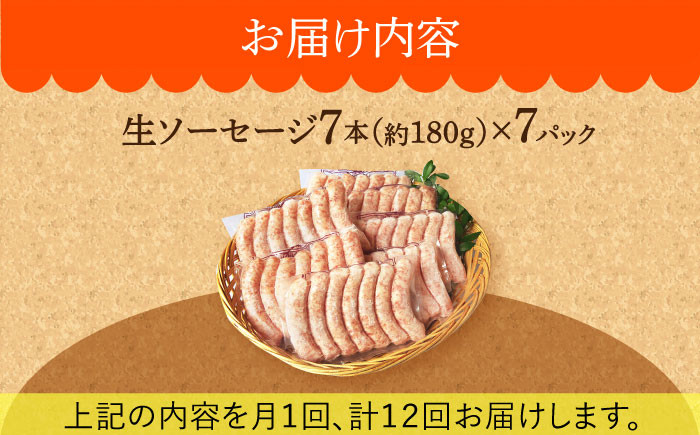 ソーセージ ウインナー 小分け 冷凍 詰合せ 詰め合わせ セット 定期便 定期 毎月