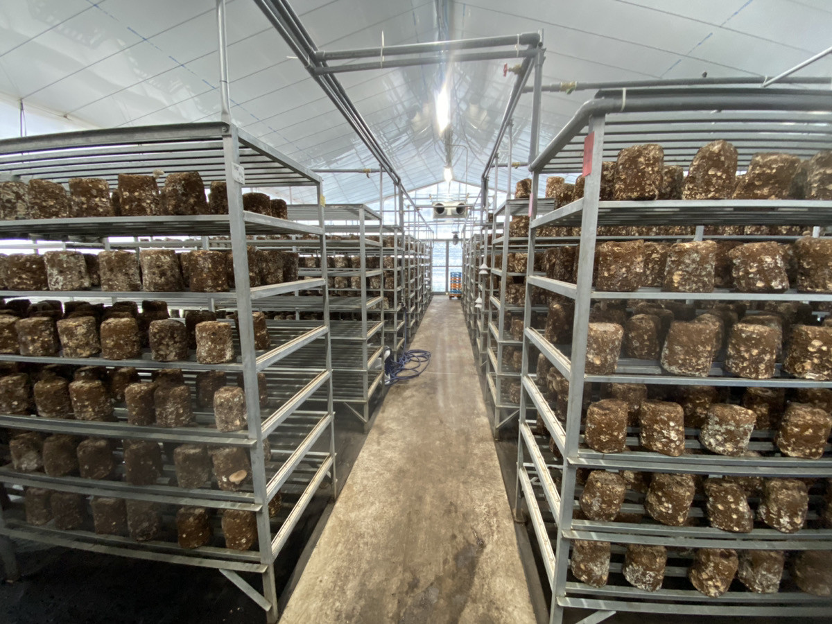 最新設備により換気、散水、温度、湿度を管理しています。