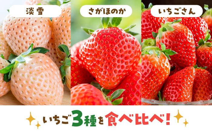 いちご3品種を食べ比べ！