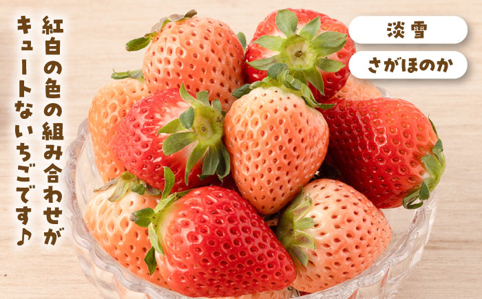 赤いちごと白いちごを食べ比べ！