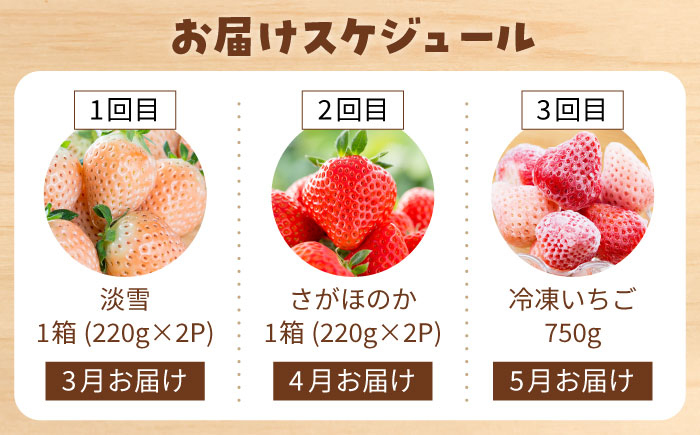 赤いちごと白いちごを食べ比べ！