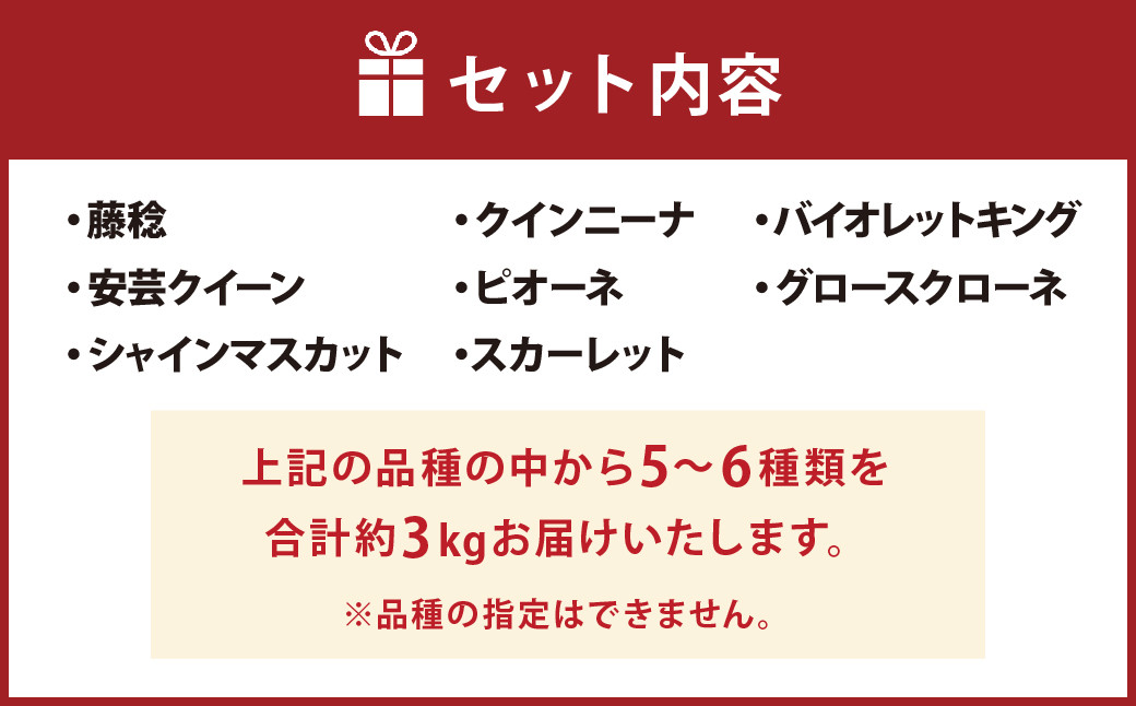 なにが届くかお楽しみ 彩り ぶどう セット 約3kg 葡萄 ブドウ マスカット
