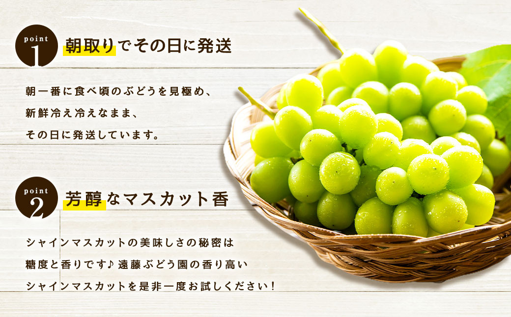 福岡県産 シャインマスカット&ピオーネ 合計約1kg