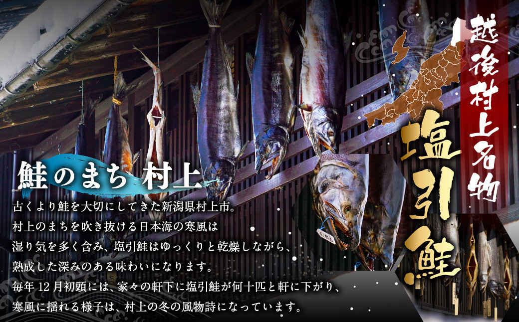 塩引 鮭 切り身 9切 (1パック 3切入り)合計約570g