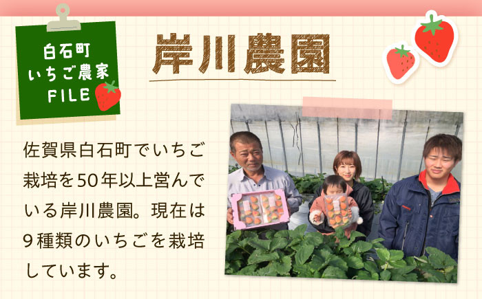 よく見る赤いちごと希少な白いちごを両方楽しめる♪ 