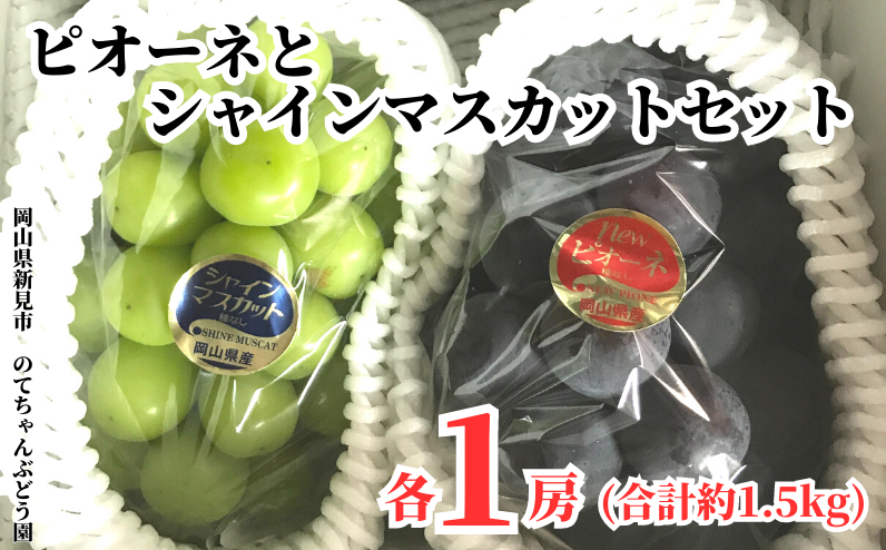 美味しいぶどう食べ比べ！新見のA級食材ピオーネとシャインマスカット、1房ずつ（合計約1.5kg）をお届けします