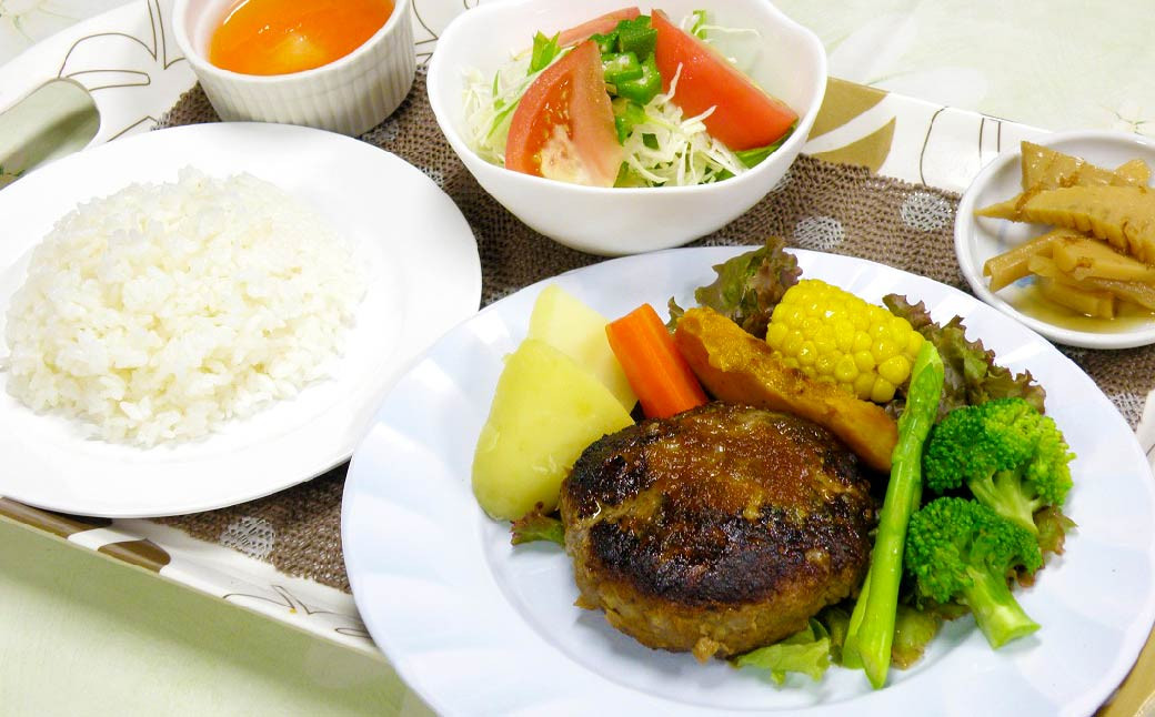 豆腐ハンバーグ 合計990g (165g×6個) ハンバーグ 惣菜 ヘルシー 大豆 おかず 低カロリー