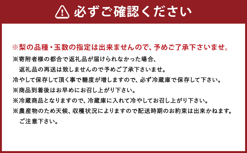 【8月上旬より順次発送予定】先行予約 筑後市産 梨 10～13玉