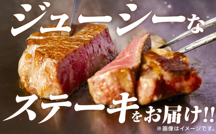 ヒレステーキ 佐賀牛 計800g 牛肉 ヒレステーキ 焼肉 ひれ 赤身ステーキ フィレ