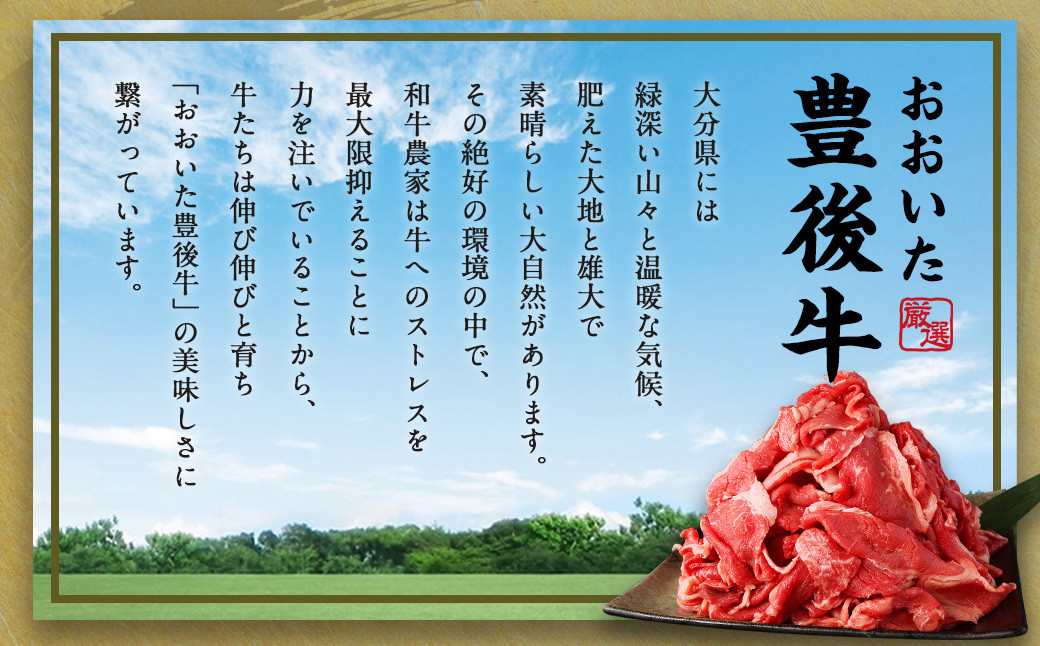 【3ヶ月定期便】豊後牛 切り落とし 1.2kg (600g×2) × 3回 牛肉 大分県産 国産 焼肉 ステーキ 霜降り