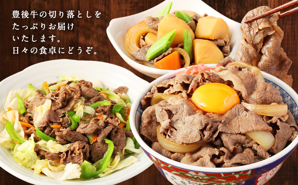 【3ヶ月定期便】豊後牛 切り落とし 1.2kg (600g×2) × 3回 牛肉 大分県産 国産 焼肉 ステーキ 霜降り