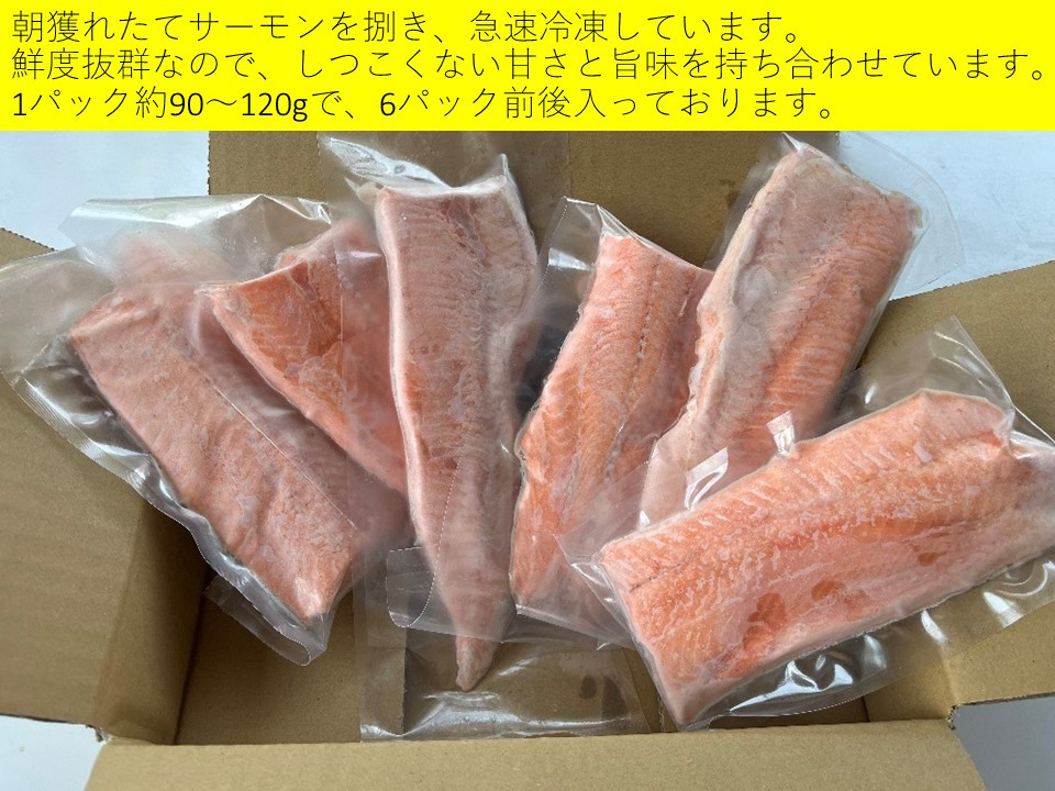北海道池田町より大人気の国産ドナルドサーモン(生食用)が新登場!