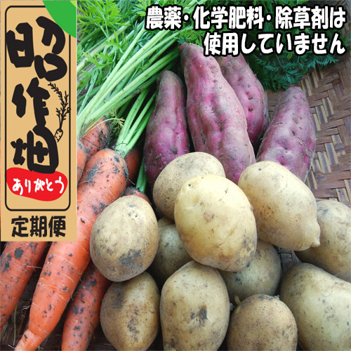 ※画像はイメージです。