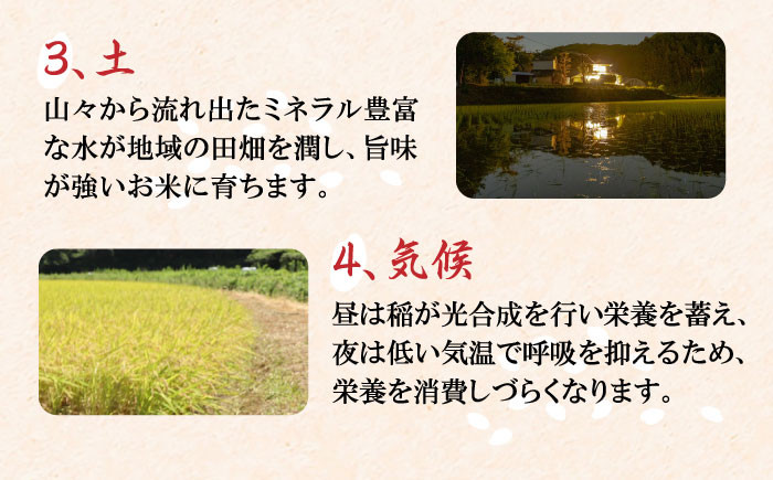 特産品 お米 地元産 こだわり 穀物 精米 白米