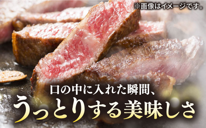 ステーキ 人気 和牛  長崎和牛 希少 柔らかい やわらかい 贈り物 ギフト  