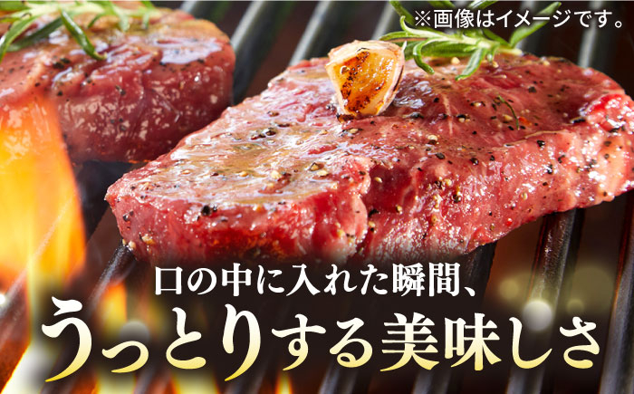 ステーキ 人気 和牛  長崎和牛 希少 柔らかい やわらかい 贈り物 ギフト