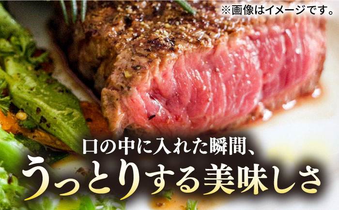 ステーキ 人気 和牛  長崎和牛 希少 柔らかい やわらかい 贈り物 ギフト  