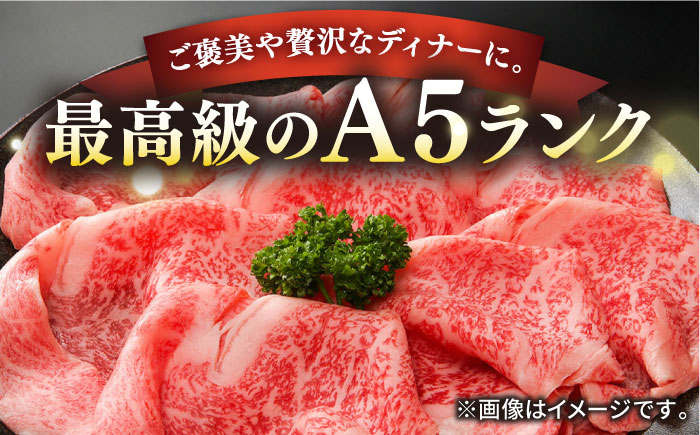 ステーキ 人気 和牛  長崎和牛 希少 柔らかい やわらかい 贈り物 ギフト