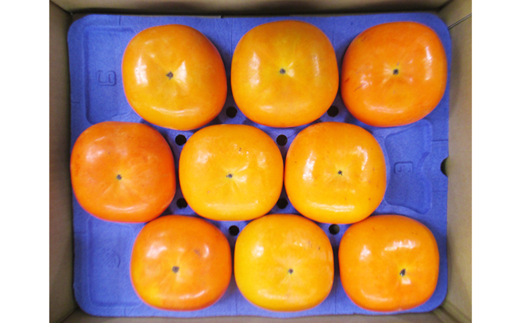 【優等品】福岡県産 博多 秋王 約3.1kg以上 (8玉~12玉入り) 柿 カキ