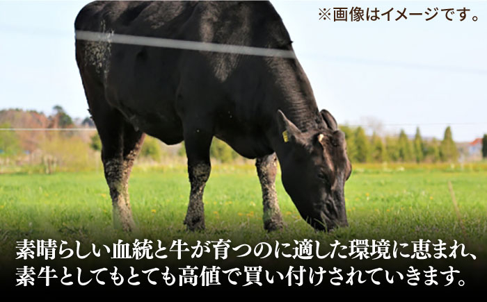 ステーキ 人気 和牛  長崎和牛 希少 柔らかい やわらかい 贈り物 ギフト  