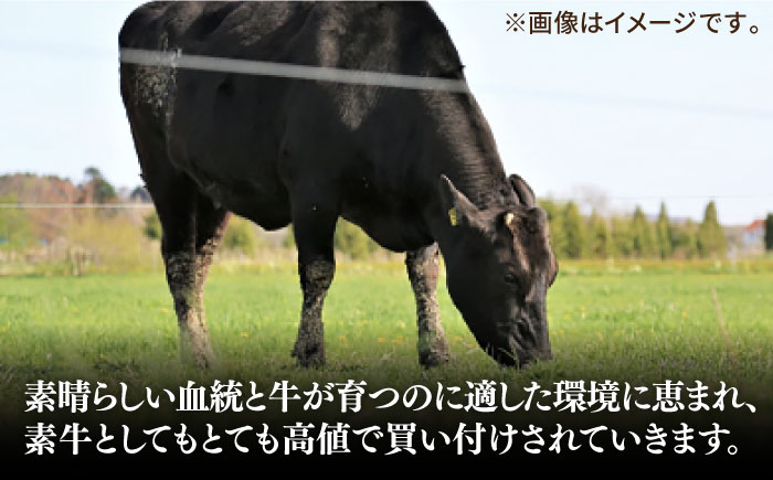 ステーキ 人気 和牛  長崎和牛 希少 柔らかい やわらかい 贈り物 ギフト