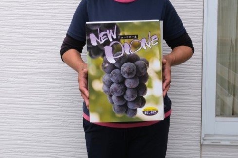 箱のサイズとイメージです（箱は変更になる場合もあります）