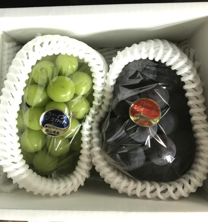 私たちがお届けします！「のてちゃんぶどう園」野手さんご夫妻