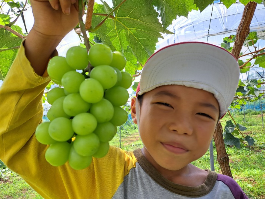 おいしくできました♪