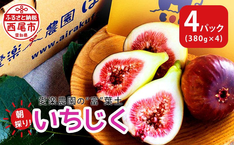 愛楽農園はいぼーなすの大粒な極上 イチジク